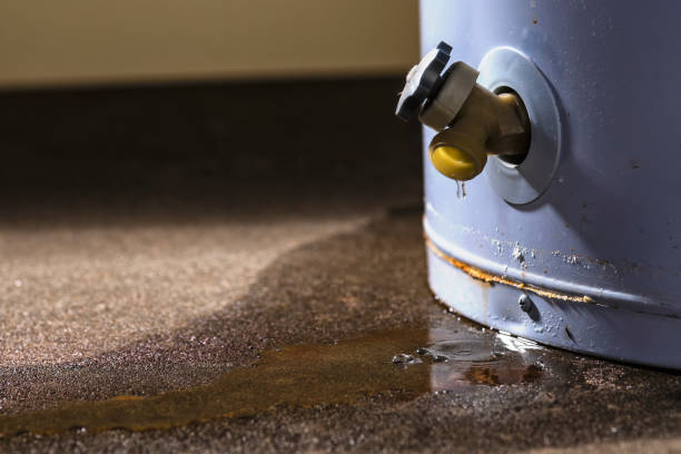 Best Residential water damage restoration  in Blakely, PA