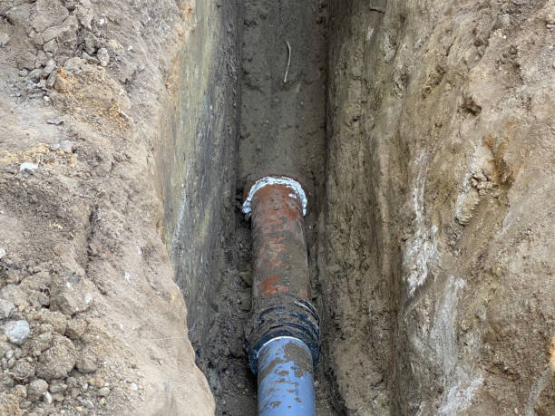 Best Professional water damage repair  in Blakely, PA