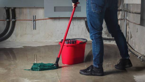 Best Flood restoration services  in Blakely, PA