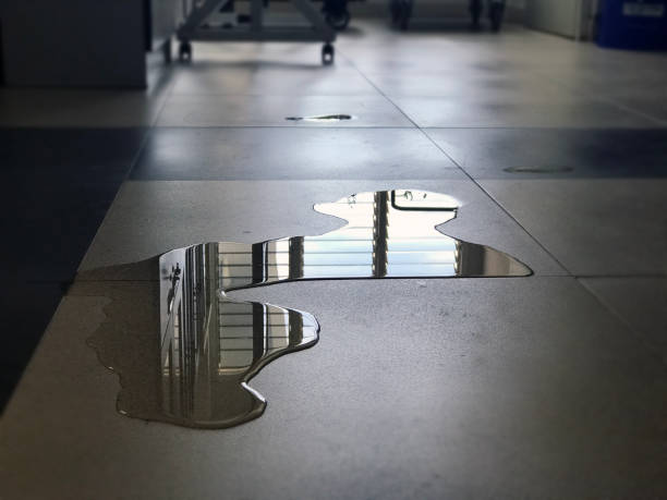 Best Water damage restoration services  in Blakely, PA