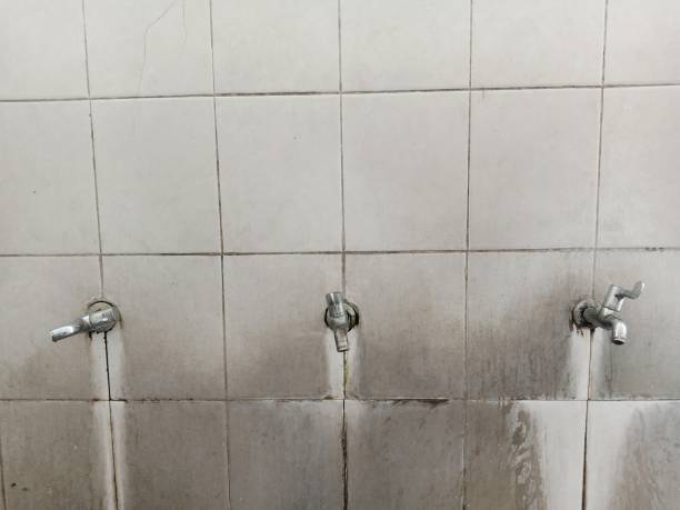 Reliable Blakely, PA Water damage restoration Solutions