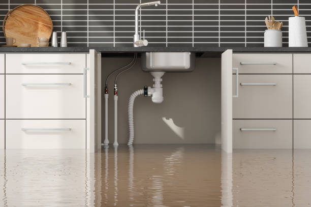 Sewage cleanup and water damage restoration in Blakely, PA