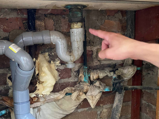 Best Local water damage restoration  in Blakely, PA